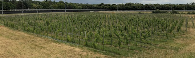 Photo 1 bis page accueil site web DVPG.png